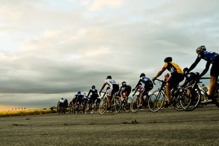 开云kaiyun-欧洲环法：丹麦新星崭露头角，引领潮流！，北欧 丹麦