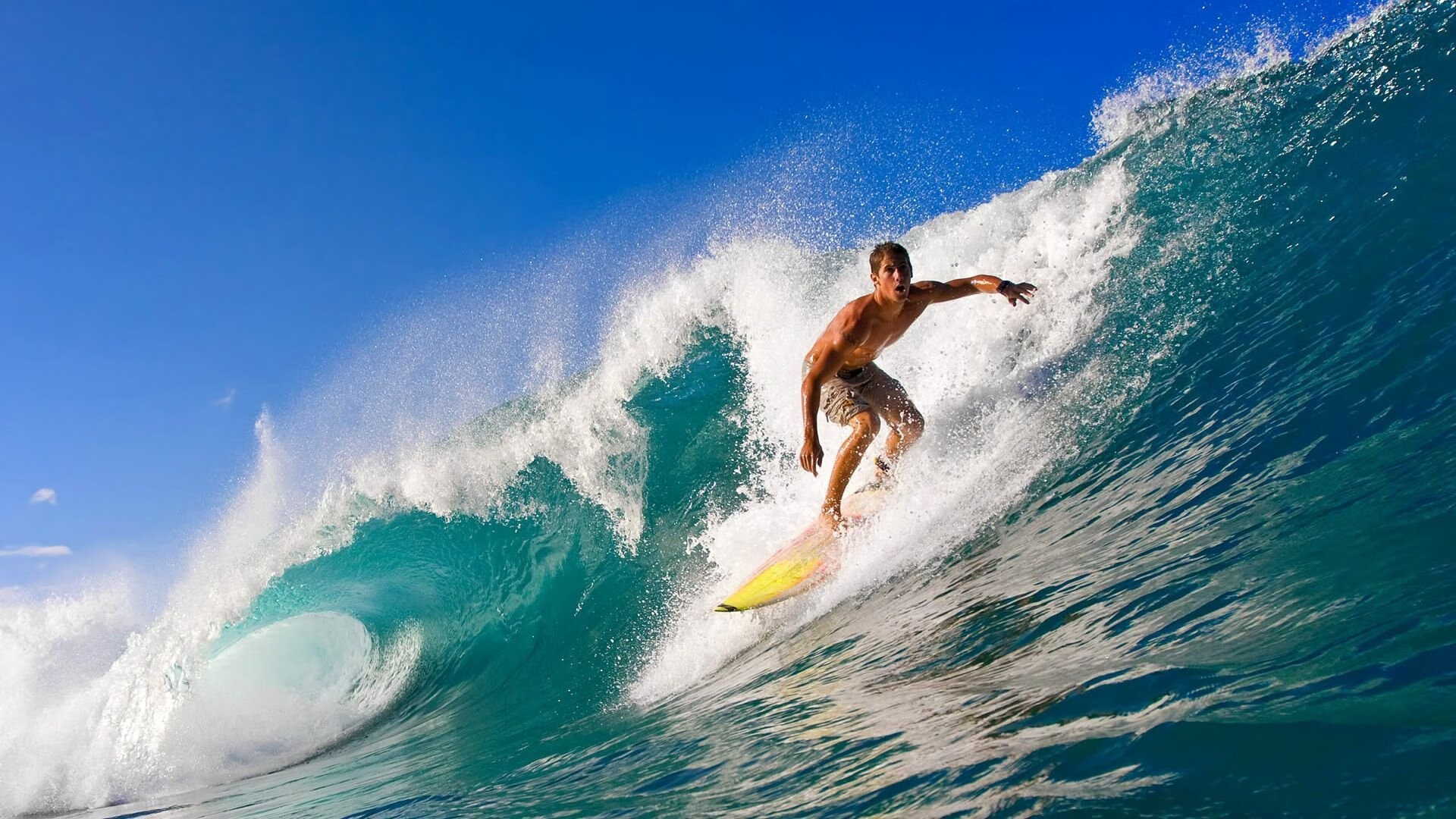 美国棒球：洛杉矶道奇提前锁定季后赛资格！，美国棒球道奇队介绍